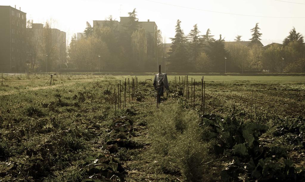 Вилла Podere San Giuliano Сан-Ладзаро-ди-Савена Экстерьер фото